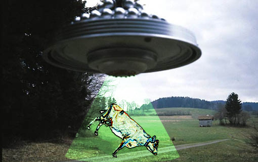 Name:  cowabduction.jpg
Views: 121
Size:  91.5 KB
