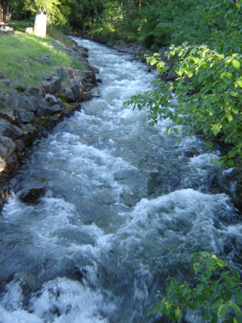 Name:  DSC00281.JPG
Views: 630
Size:  148.4 KB