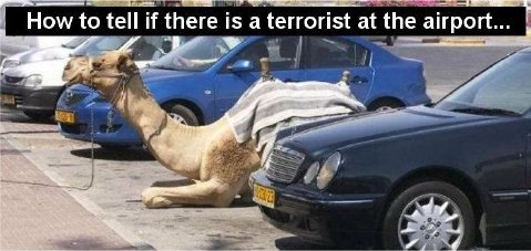 Name:  Terrorist at the airport..jpg
Views: 528
Size:  33.8 KB
