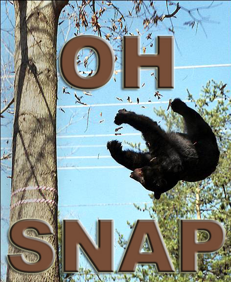 Name:  oh snap.jpg
Views: 521
Size:  113.6 KB