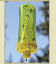 Name:  yellow_trap.jpg
Views: 357
Size:  7.1 KB