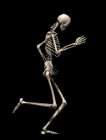Name:  big_skelleton.gif
Views: 452
Size:  133.6 KB