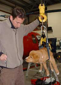 Name:  Burleigh-Hoist.jpg
Views: 640
Size:  8.9 KB