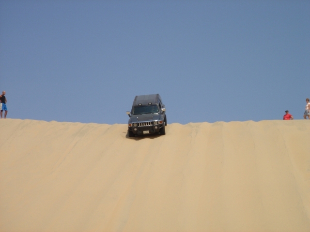 Name:  top of the dune.JPG
Views: 1019
Size:  106.0 KB