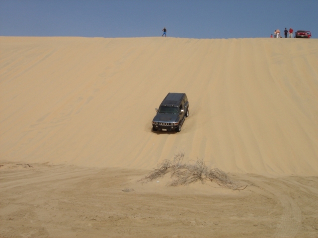 Name:  40m dune.JPG
Views: 1036
Size:  125.5 KB