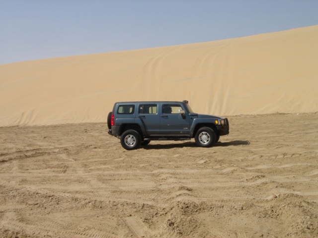 Name:  bottom dunes.JPG
Views: 1006
Size:  126.0 KB