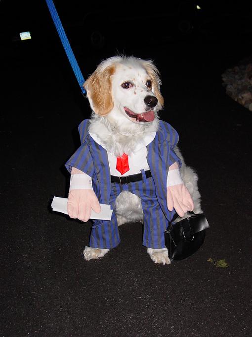 Name:  Halloween 004.jpg
Views: 98
Size:  45.6 KB