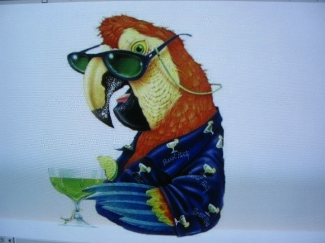 Name:  Parrot.jpg
Views: 1051
Size:  69.8 KB