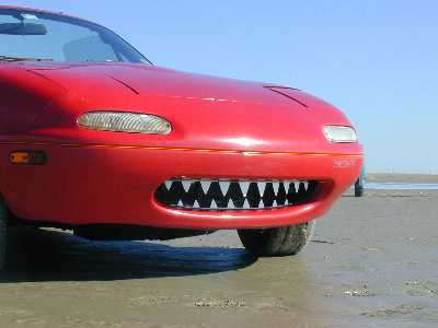 Name:  Shark tooth grille.jpg
Views: 1061
Size:  10.7 KB