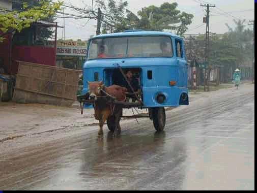 Name:  Mexican Hummer.jpg
Views: 540
Size:  22.9 KB