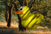 Name:  off-road ducky.jpg
Views: 235
Size:  13.5 KB