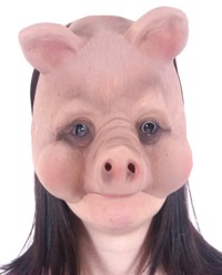 Name:  rosie pig.jpg
Views: 171
Size:  10.5 KB
