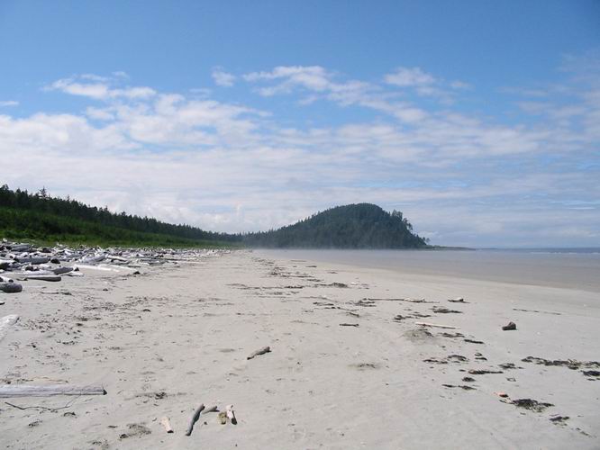 Name:  North Beach2.jpg
Views: 811
Size:  41.7 KB