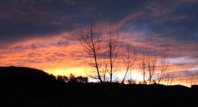 Name:  mornsunset1.JPG
Views: 251
Size:  61.9 KB