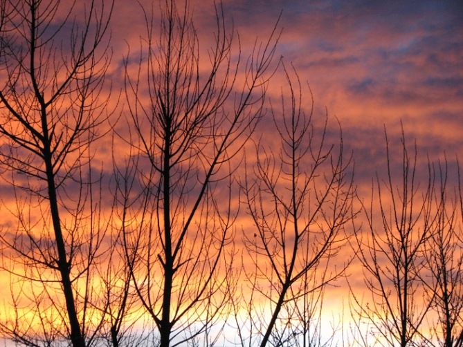 Name:  sunset3.JPG
Views: 256
Size:  151.9 KB