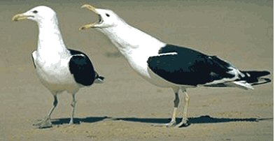 Name:  Image3.jpg
Views: 183
Size:  15.2 KB