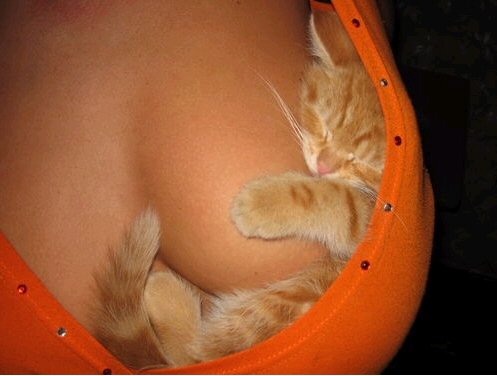 Name:  Lucky.jpg
Views: 250
Size:  28.7 KB