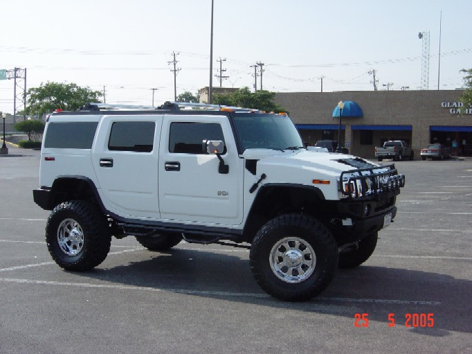 Name:  H2New Snall007.jpg
Views: 1733
Size:  80.7 KB