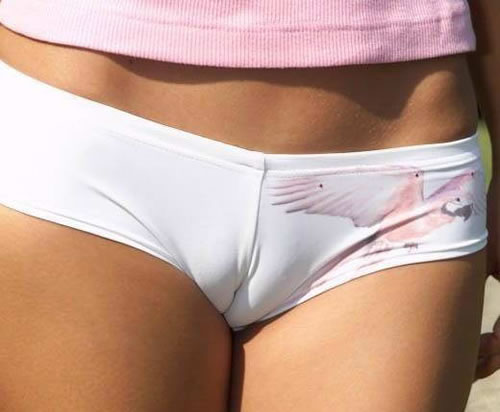 Name:  thong.jpg
Views: 2617
Size:  28.9 KB