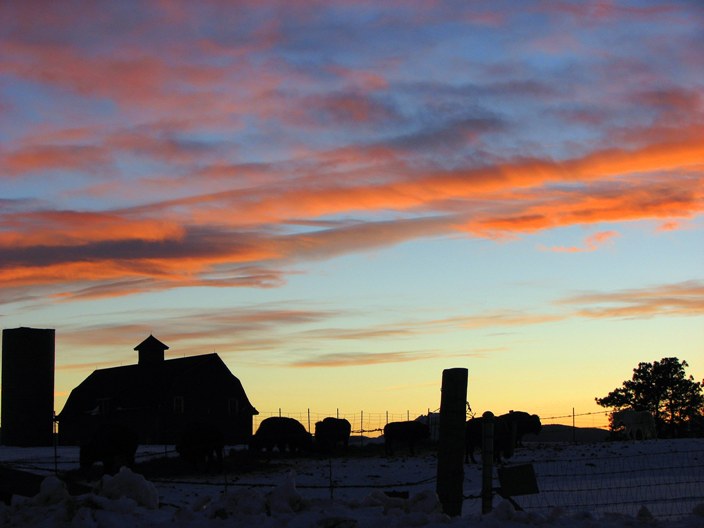Name:  barnsunset.JPG
Views: 300
Size:  54.3 KB