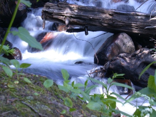 Name:  fallriverstreamtrekforums.jpg
Views: 278
Size:  76.9 KB