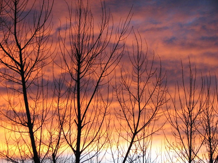 Name:  sunrisethrutrees.JPG
Views: 168
Size:  188.8 KB