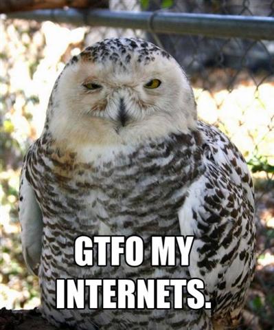 Name:  GTFO (Small).jpg
Views: 479
Size:  39.1 KB