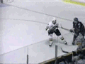 Name:  hockeyhit-1.gif
Views: 236
Size:  180.2 KB