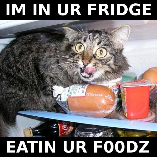 Name:  IM_IN_UR_FRIDGE_by_silver_sashi.jpg
Views: 956
Size:  93.2 KB
