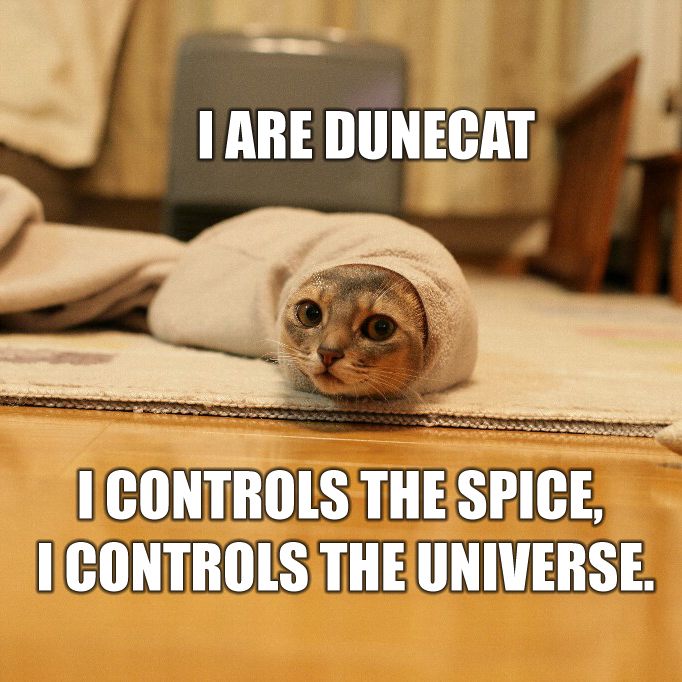 Name:  dunecat.jpg
Views: 780
Size:  82.5 KB