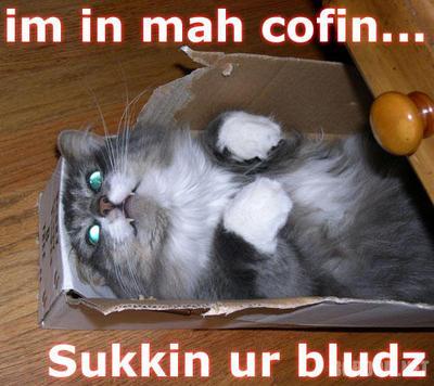 Name:  vampire_cat.jpg
Views: 862
Size:  28.5 KB