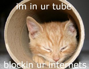 Name:  inurtube.jpeg
Views: 800
Size:  19.2 KB