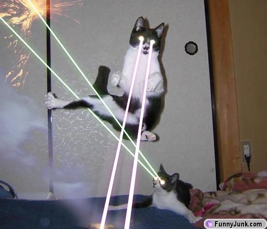 Name:  laser_kitties.jpg
Views: 655
Size:  35.6 KB