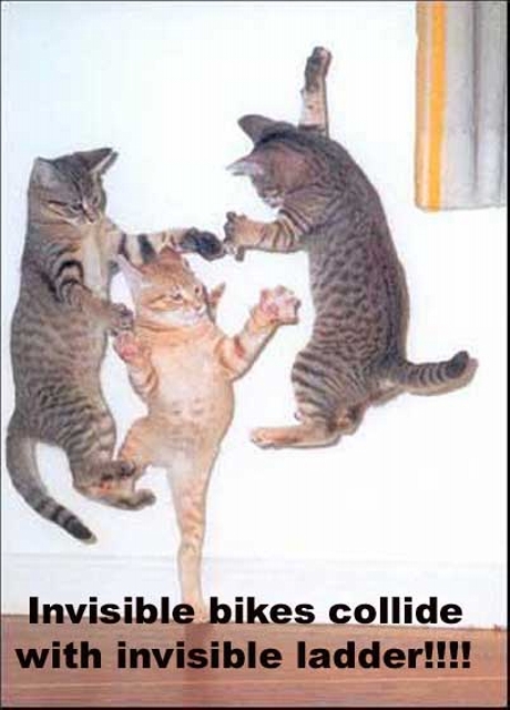 Name:  bikesandladders.jpg
Views: 793
Size:  159.2 KB