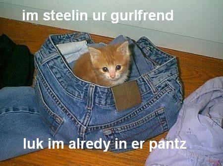 Name:  catgurlfrend.jpg
Views: 754
Size:  37.0 KB