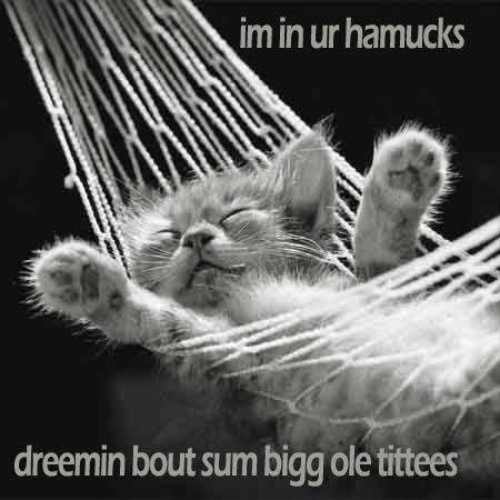 Name:  catz.jpg
Views: 777
Size:  33.1 KB