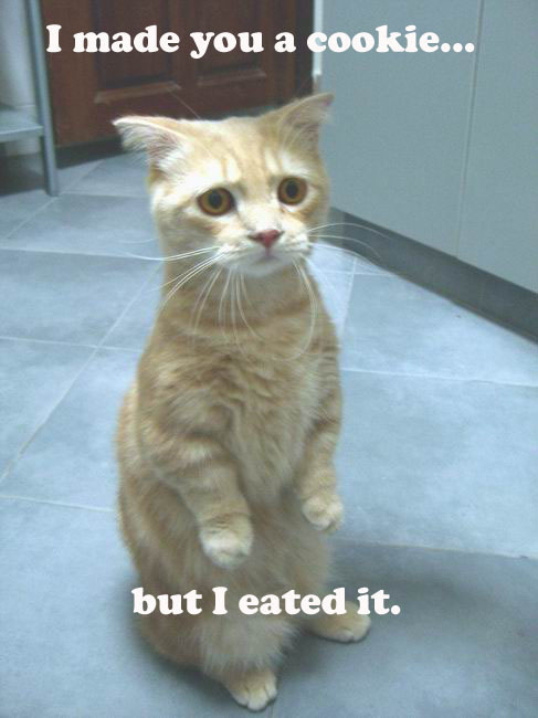 Name:  cookie.jpg
Views: 711
Size:  65.4 KB