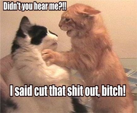 Name:  cutthat****ouka.jpg
Views: 707
Size:  29.1 KB