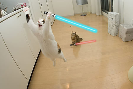 Name:  jumping_cats_with_lightsabers.jpg
Views: 547
Size:  22.1 KB