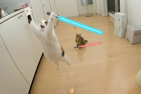 Name:  jumping_cats_with_lightsabers.jpg
Views: 688
Size:  22.1 KB