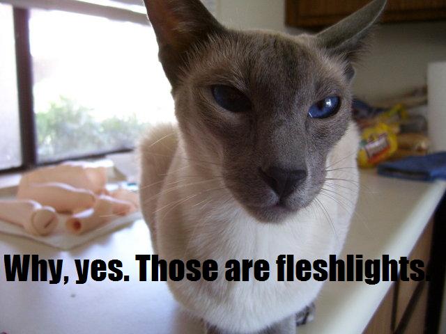 Name:  fleshlights.jpg
Views: 825
Size:  53.6 KB
