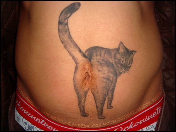 Name:  cattat.jpg
Views: 483
Size:  50.1 KB