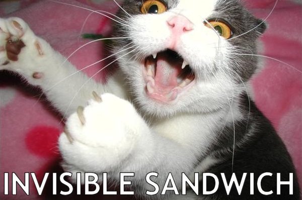 Name:  sandwich.jpg
Views: 407
Size:  49.8 KB