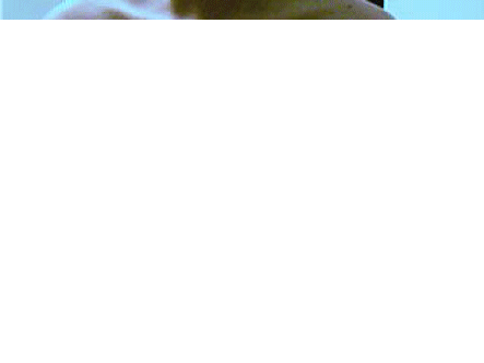 Name:  boobies6zj.gif
Views: 189
Size:  82.6 KB