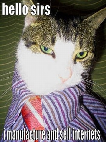 Name:  cat10.jpg
Views: 420
Size:  59.1 KB