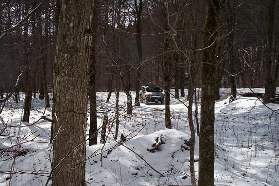 Name:  upstate woods.JPG
Views: 418
Size:  70.1 KB