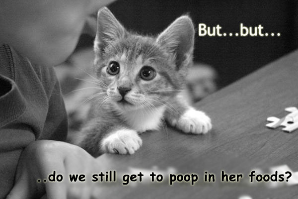 Name:  poopykittyfx0.jpg
Views: 383
Size:  67.0 KB