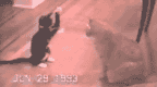 Name:  11032257202687cw1fn.gif
Views: 187
Size:  193.4 KB