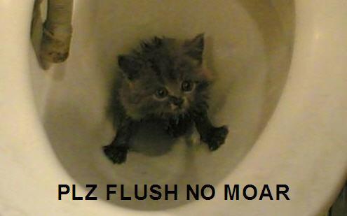 Name:  flush.JPG
Views: 514
Size:  13.9 KB
