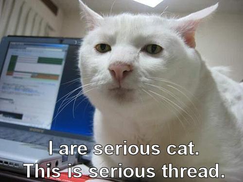 Name:  serious.JPG
Views: 696
Size:  27.9 KB